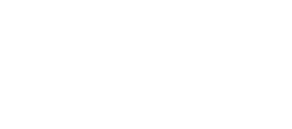 Đại Việt Holdings
