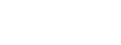 SRT Việt Nam